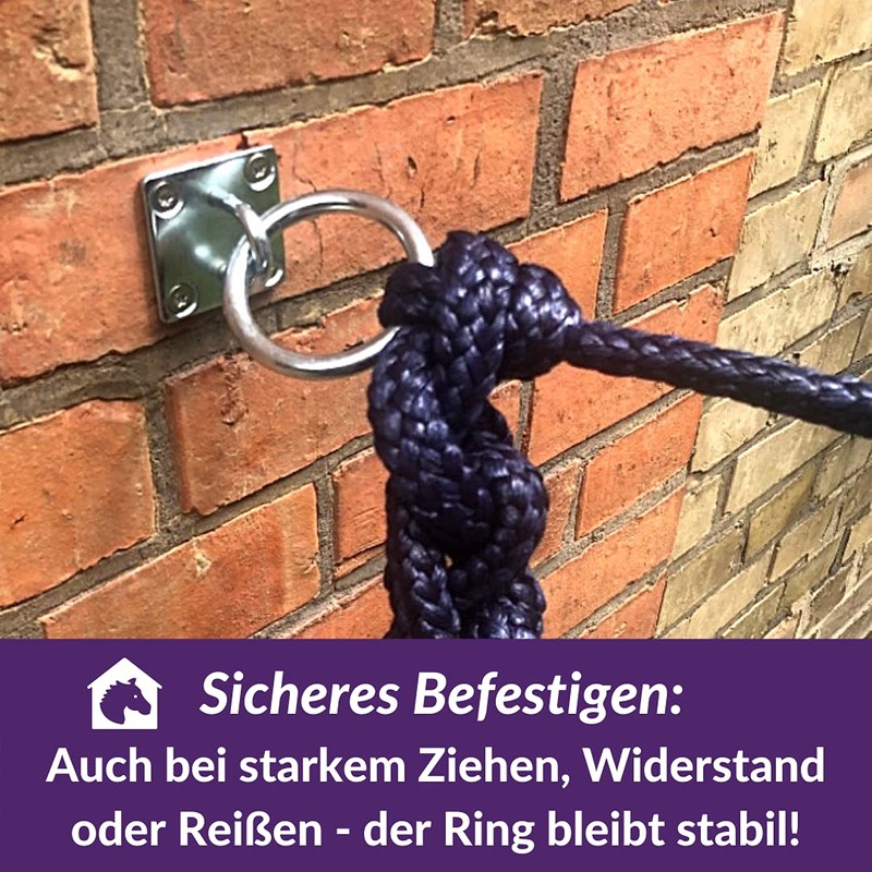 Connecting Ring, Horse, Cattle, Mounting Hook for Screwing, Solid Stainless