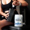 Dr Will Creatina Monohidratada alta pureza, Suplemento Alimenticio sin Sabor,