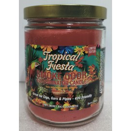 Smoke Odor Exterminator 13oz Candles Orange Lemon Splash Assortment (8) Includes CherryBomb, CoolCucumber & Honeydew, Tropical Fiesta, PineappleCoconut, AppleOrchard, Sugarskull & PumpkinSpice