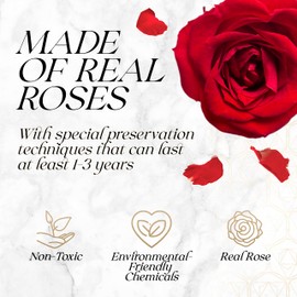 GLAMOUR BOUTIQUE Preserved Roses in a Box - Gifts for Her, Wife & Mom, Rose Flowers Forever Decor for Birthday Gift, Get Well Flower Bouquet Cased in White Box with Cover - Red - 16-Piece