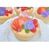 Homemade Custard Cream Powder, 1.8 oz (50 g) x 10