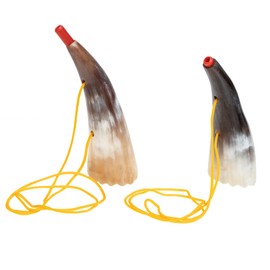 Vaguelly 2 Pieces Children's Horn Toy Viking Instrument Ox Horn Trumpet Party Noise Sweeper Toy Musical Instrument for Parties Events Music Toy Party Favour