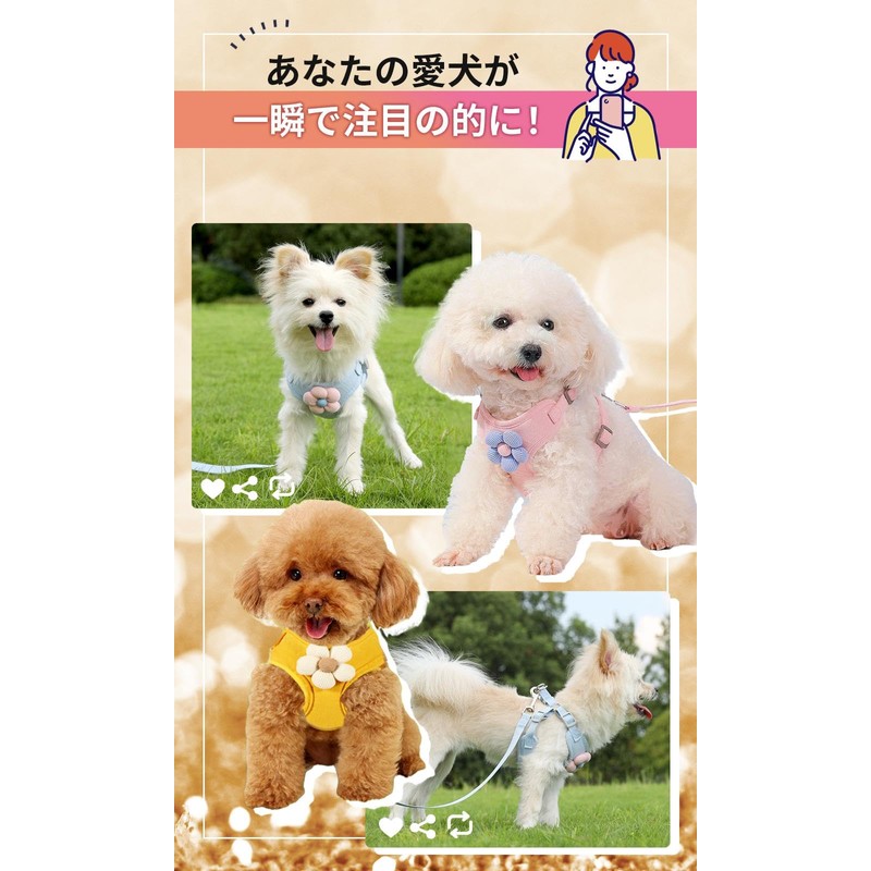 CLOGRATIA Chihuahua Harness, Puppy Harness, Lead, Small Dogs, Toy Poodle,