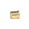XFITTING Barb Crimp 1 Inch Pex Plug End Cap, Brass,