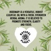 Natural Planet Rosemary Oil 100% Pure & Undiluted Natural Essential