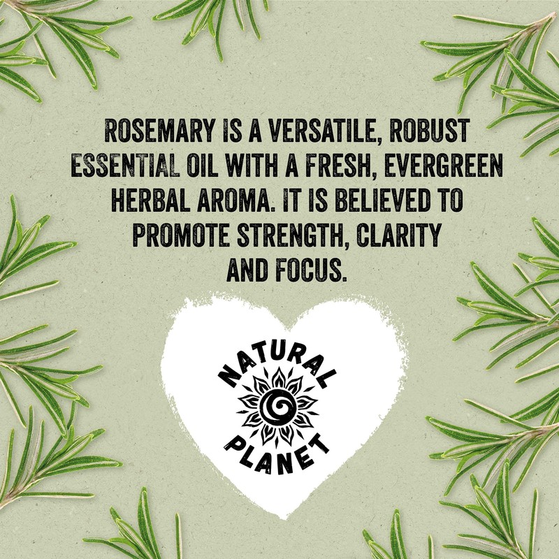 Natural Planet Rosemary Oil 100% Pure & Undiluted Natural Essential