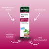 Eco Test Certification Silicia Toothpaste, 1.7 fl oz (50 ml)