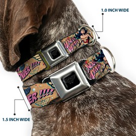 Buckle-Down Collar para Perro con Hebilla para cinturón de Seguridad Wonder Woman Strength Power de 15 a 26 Pulgadas de Ancho