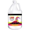 Acid LAVA Rinse, Organic Acid Carpet Cleaner for Hot Water