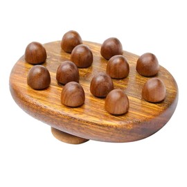 Healvian Massage Tool Dry Brush for Cellulite Manual Massager Acupoint Brush Neck Shoulder Back Massage