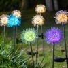 Solar Garden Light Outdoor Dandelion Garden Balcony Decoration Layout Inserted