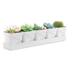 5 Pack White Plastic Succulent Pots, 2.56" Square Planters with Trays, Small Indoor Cactus Flower Pots with Drainage for Home & Office Decor