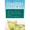 Shuho Tea Garden, Shizuoka Tea Pack, Tea Pack, Cold Brew