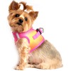 Ultra Choke Free Step in Reflective Dog Harness American River