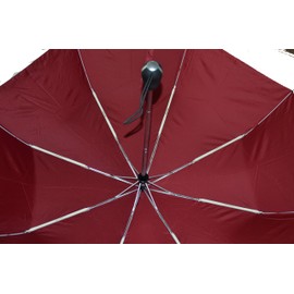 BuyElegant Burgundy Fully Automatic Open and Close Travel Umbrella, 3 fold, Light Weight, Windproof Softgrip Compact fits in handbag, Push Button 28 cms