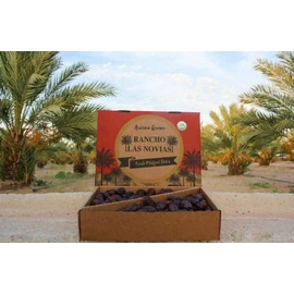 Rancho Las Novias. 5LB LARGE  FRESH ARIZONA'S GROWN PREMIUM ORGANIC MEDJOOL DATES.