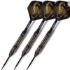 CUESOUL Black Scorpion Deluxe Steel Tip Dart Set, 20g F2001-L