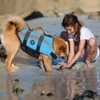EMUST Life Jacket for Large Dogs, Dog Life Vest for