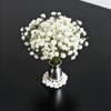 ForestM 100PCS Dried Pressed Flowers,Natural Baby Breath Dried,Dry Flowers
