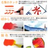 Akashiya Extra Fine Fountain Pen