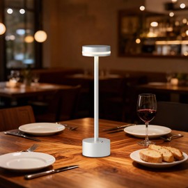 FUNTAPHANTA 2 Pack Modern Cordless Table Lamp Rechargeable, Aluminum Touch Lamp & 4000mAh Battery Operated, 3000K LED Table Lamps for Home Decor, Dining, Reading, Desk, Bedroom, Gift