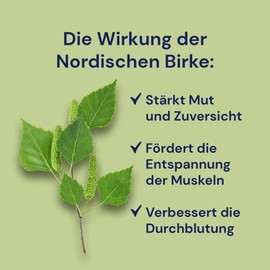 Nordic Birch Sauna Infusion (1000 ml) From Spitzner