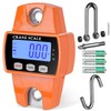 RoMech 660lb Digital Hanging Scale with Cast Aluminum Case, Handheld