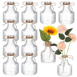 Bokon 12 Pcs 5 Inch Small Plastic Flower Bud Vases Aesthetic Centerpieces Decorative Cylinder Vase Bulk for Wedding Home Table Decorations Flower Plant Propagation with Twine (Clear)