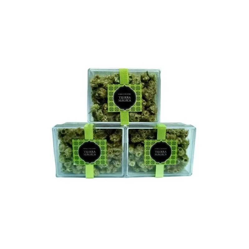 Gordolobo Flor, Té Orgánico, Caja Miel, Pack 3, 225 Gr