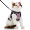 CatRomance Cat Harness and Leash Escape Proof for Walking, Safe