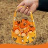 NHPY 1 Item Basket for Gifts, Egg Carton, Egg Collection