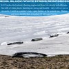 VBS - Crawl Space Vapor Barrier - 12 mil -