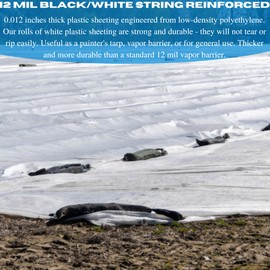 VBS - Crawl Space Vapor Barrier - 12 mil - Black/White Heavy Duty Plastic Sheeting - Thick Polyethylene Film, Drop Cloth Vapor Barrier Covering for Crawlspace and Basement (6' x 10')