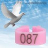 6 Colours 100 Pieces/Bag 8 mm 001-100 Numbered Plastic Bird