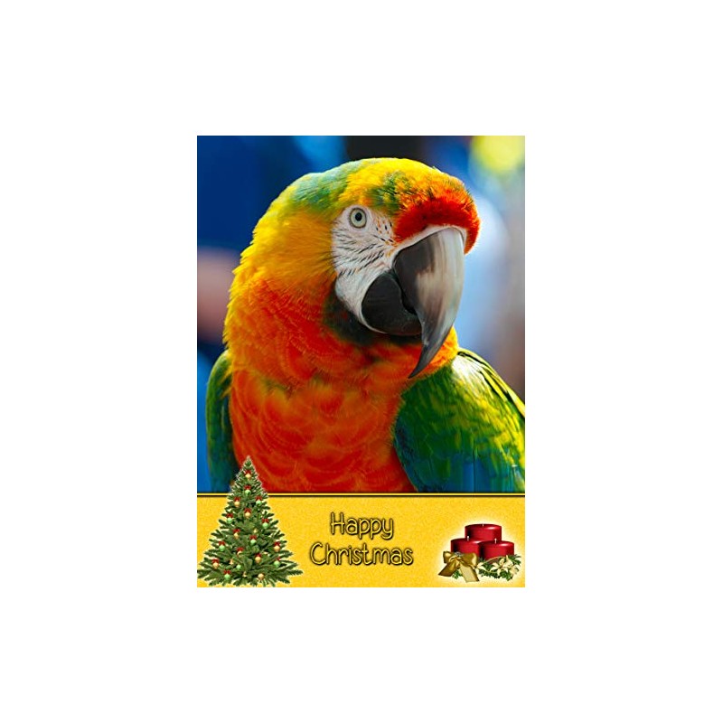 Parrot Christmas Card 'Happy Christmas' - Special Xmas Card for