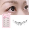 CLEAREYELASH Natural False Eyelashes, Natural 3D Eyelashes, 5 Pairs (N02