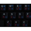 Korean Japanese Hiragana Keyboard Sticker Blue and RED Lettering Transparent