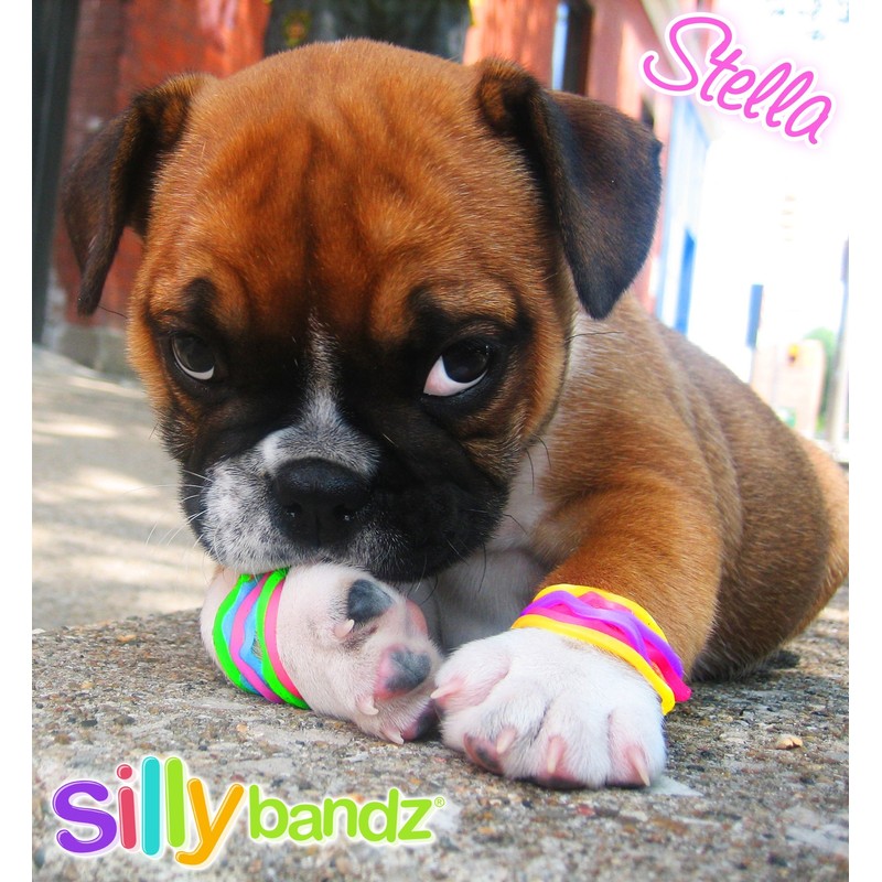 Silly Bandz Princess - 24 Pack