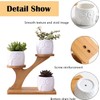White Owl Ceramic Succulent Pots, 3Pcs Modern Decorative Flower Planters