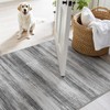 tchdio Abstract Area Rugs for Entryway - 2x3 Washable Rugs