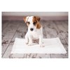 ZEEZ Puppy Training Pads 60x60cm 14pk,