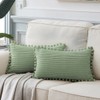 Fancy Homi 2 Pack Sage Green Lumbar Decorative Throw Pillow