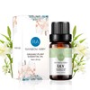 Lily Essential Oil 100% Pure Oganic Plant Natrual Lily Oil