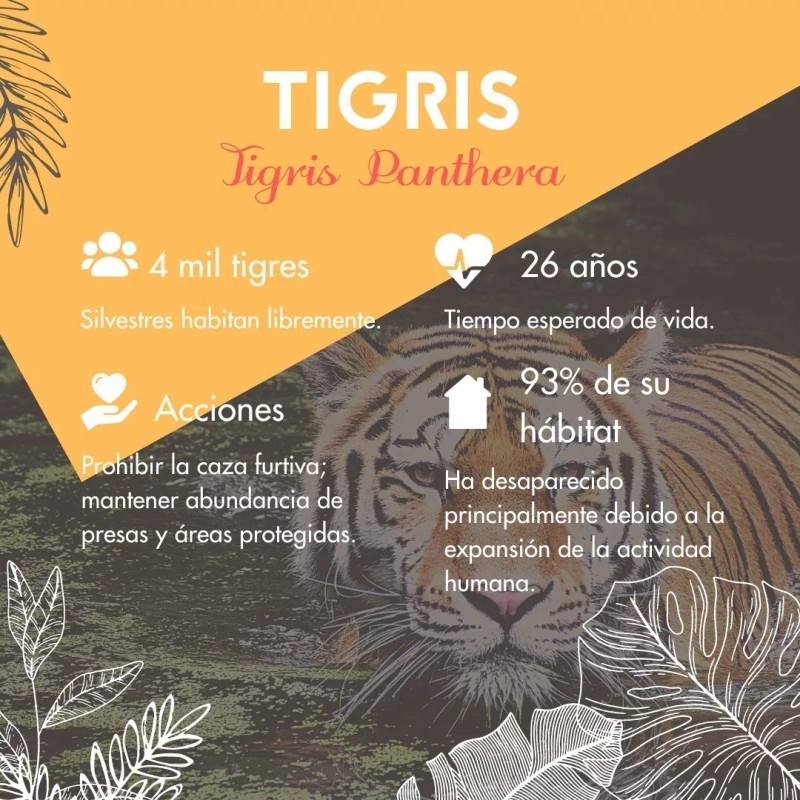 Vidamía Jabón Artesanal Gde Antioxidante Tomate Menta Vegano