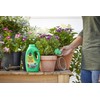 Miracle-Gro Miracle-Gro Pour & Feed Plant Food (Liquid), 32 fl.