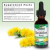 Nature's Answer | Dandelion Root, 2 000 Mg, 1 Oz