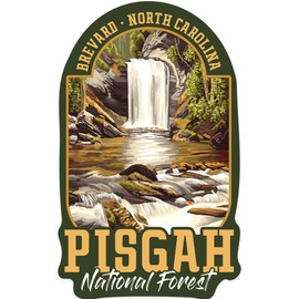 Die Cut Sticker Pisgah National Forest, Brevard, North Carolina, Looking Glass Falls, Contour Vinyl Sticker 1 to 3 inches (Waterproof Decal for Cars, Water Bottles, Laptops, Coolers), Small