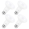Small frog Floodlight Indoor BR25 Led Bulbs - 9W, Replace