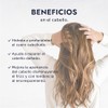 Hebbe - Aceite de Chabacano 100% Puro, Hidratante y Antiinflamatorio