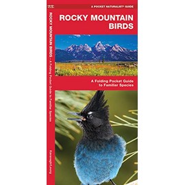 Rocky Mountain Birds: A Folding Pocket Guide to Familiar Species (Wildlife and Nature Identification)